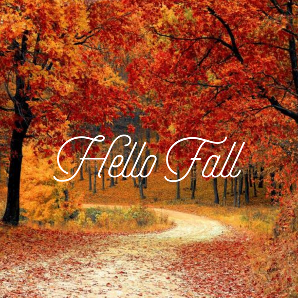 Fall Favorites