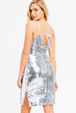 Shimmer Sequin Dress